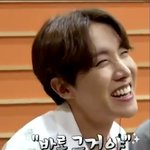 [방탄소년단] 우리 곰돌 형아 <b>더빙</b>이 인상적이었그나