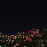 [19] ㅈㄴ <b>부티나</b>는 법 없냐