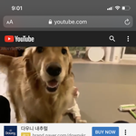 유튜브 지니&amp;<b>보리</b> 학폭가해자 맞아요?