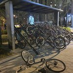 2층 자전거 거치대 부실 공사로 인한 사고