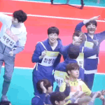 아육대 포도밭 사이 청포도