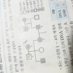 [모두드루와] 유전 가계도 문제에 몬페스 <b>대입</b>하기