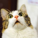 [19] 잘생긴게 <b>죄면</b> 나는 무슨 처벌 받음?