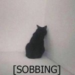 나 <b>외대</b>부고 준비중인데