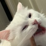 [19] <b>아파</b>..