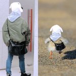헐박지민