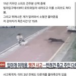 [꼭봐주세요] ‼️롯트와일러 개물림 사망사건‼️