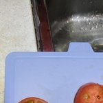 토마토 원래 이래?? 개징그러워