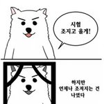 [댓글부탁해] 이짤 찾아주실분..