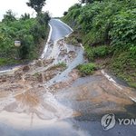 '폭우 피해 속출' 중·남부지방 농경지 침수·도로 통제