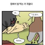 [댓글부탁해] 여기 이마<b>필러</b> 맞아본애들있니