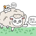 [드루와] 얘들아 나 화장햇다가 <b>폼</b><b>클렌징</b>으로 다 지우면