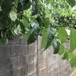 [드루와] 들어와봐 현재 <b>새벽갬성</b> 보여준다