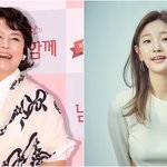 6촌 관계인 연예인들