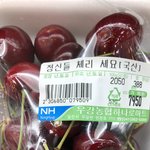 [TXT모아] ㅈㄴ<b>평화</b>로운 ㅈ목 모아톡에