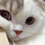 킹덤에 투바투 나왔으면 <b>떡상</b> 각이었는데