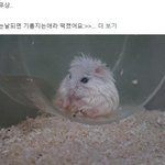 왜 빅<b>히트</b> 뭔일있어?