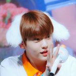 [TXT모아] ❣ 모아톡은 짤주지않음 ❣