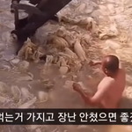 중국산 김치 만드는 과정