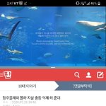 [댓글부탁해] <b>He</b>