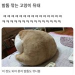 [드루와] 진짜 틴탑 <b>입덕</b> 각이다;;