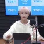 말티즈 태용 이제 친구 생김