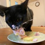 [댓글부탁해] 한국사 10<b>회독</b> 몇등급 ㄱㄴ???