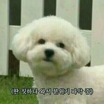 [방탄소년단] 떡밥 이제 알았는데
