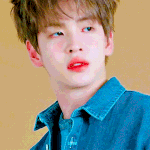 크래비티 보면 볼수록 신기한 게