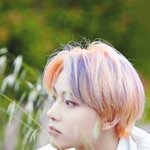 [NCT] 추반 해보자
