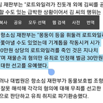 야 로트와일러 전기톱 사건 벌금형 나온 이유 알고 있냐?