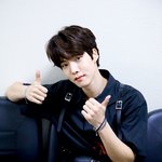 [골든차일드] <b>하네스</b>차일드