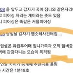 [<b>알</b>페스] ㄱㅁ 제발 <b>말</b>좀 ㅠㅠㅠ