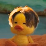 [방탄소년단] 본보 <b>호석</b> 오리 짤 말이야