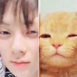 나 <b>황민현</b> 비밀 앎ㅋㅋㅋ