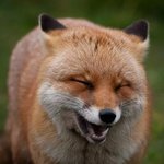 <b>내</b> <b>몸</b>이 미췄나봐