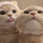 근데 엔터랑 <b>십</b>대판이랑 완전 분위기 다르다