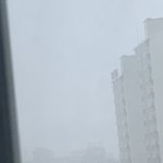 아니 미쳣나