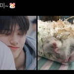 [NCT] 헐 너무 귀엽따