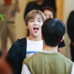 강원 애니고아는사람