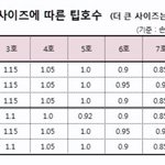 야야양 네일팁 <b>사본</b> 판녀들아