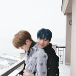 [NCT] 약간 <b>이런</b> 느낌 보스 <b>사진</b>