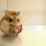 안 유명한데 나만듣기 아까운 노래