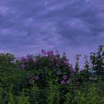 [드루와] 사람들 <b>뇌절</b> 좀 그만했으면 좋겠음 진짜