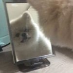[꼭조언부탁] 아니... 남친이 좀 <b>도끼</b>병같아