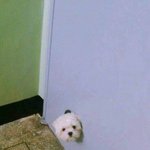 [댓글부탁해] <b>술집</b>에서 이남자 어때보임
