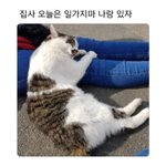 등드름 없앤 <b>판녀</b>있냐