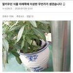 [19] 소녀재판 <b>여주</b> 있잖아