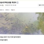 이거 쓴애가 <b>조현</b>병임 아님ㄹㅇ잇는일임?..