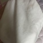 [이것좀봐줘] 콜라묻은거 <b>세탁</b>해옴 ...ghgg